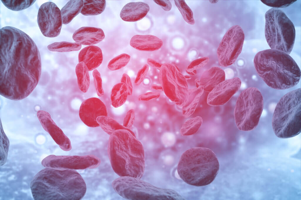 Malignant Hematology